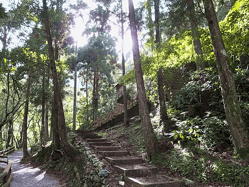 圖片：維基百科