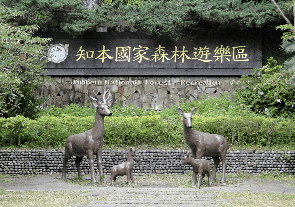 圖片：山林悠遊網